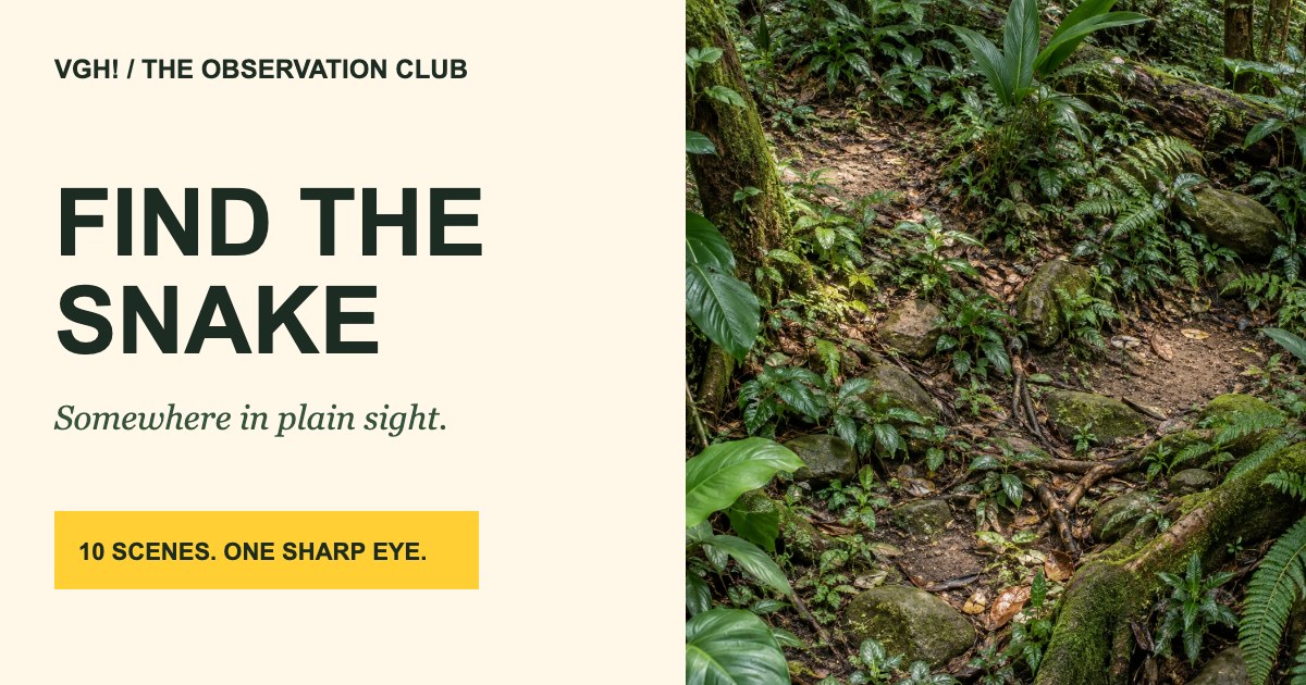 Find the Snake